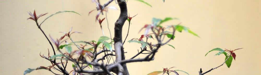 Gesundheit und Beauty