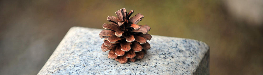 Gesundheit und Beauty